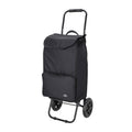 Daily Shopping Trolley 1