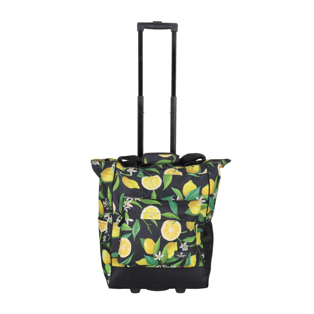 Daily Shopping Trolley 2