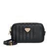black/gold
