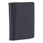 Arizona 2.0 Dollarclip 8CS