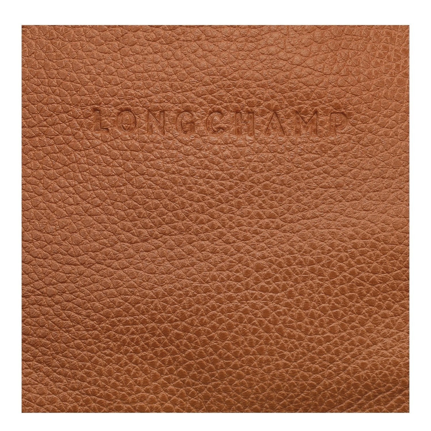 Close-up of tan grained leather texture with embossed Longchamp logo from Lieblingstasche Le Foulonné belt bag