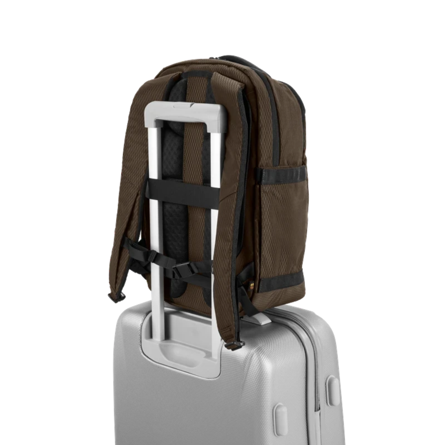 Lieblingstasche eoto Midi20 brown backpack attached to a silver suitcase handle, showing padded back and straps.