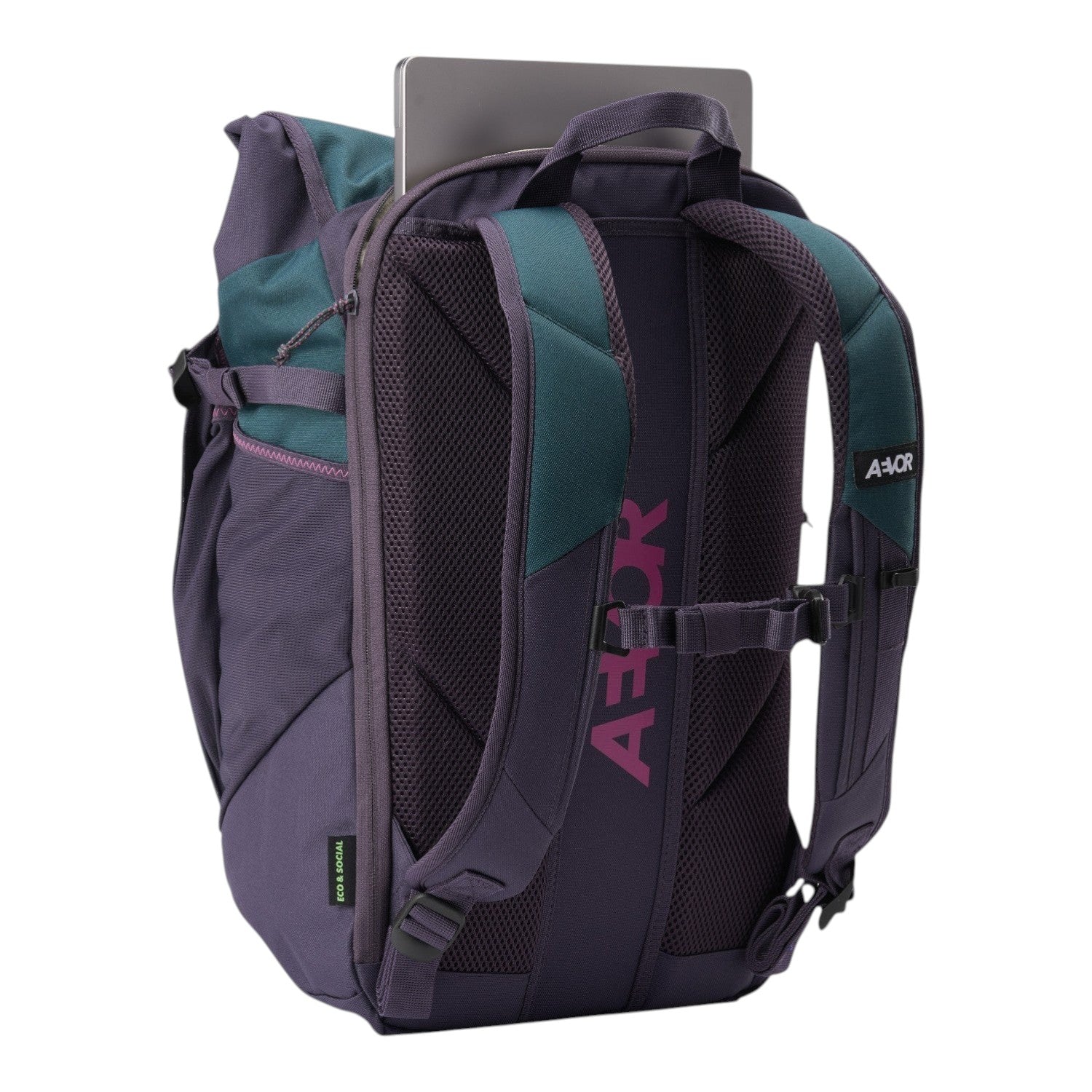 Lieblingstasche Roll Pack 2.0 backpack in purple and teal with a laptop compartment and ergonomic mesh back panel